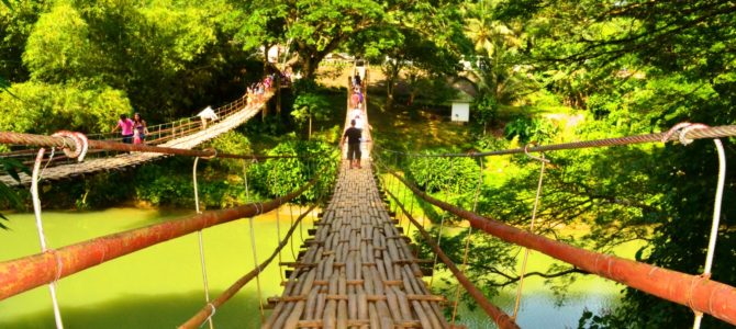 Tour to Bamboo Hanging Bridge