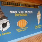 Nova shell musiem